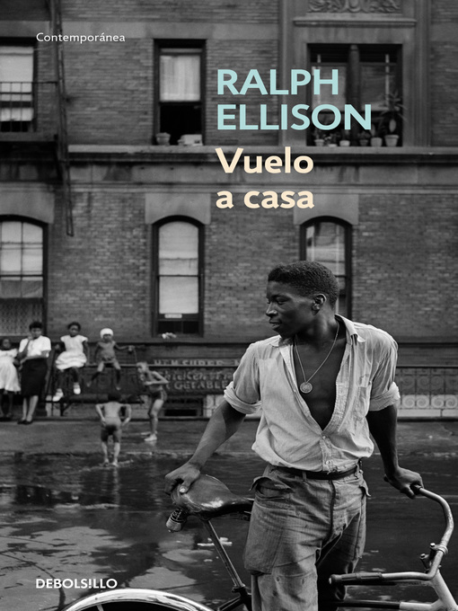 Cover image for Vuelo a casa